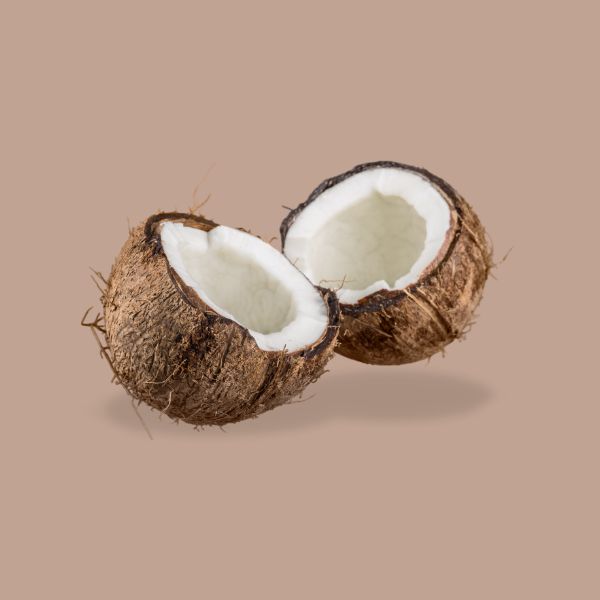 Close-up of coconut oil, a key ingredient for rich lather and effective grease-cutting in our Solid Dish Soap.