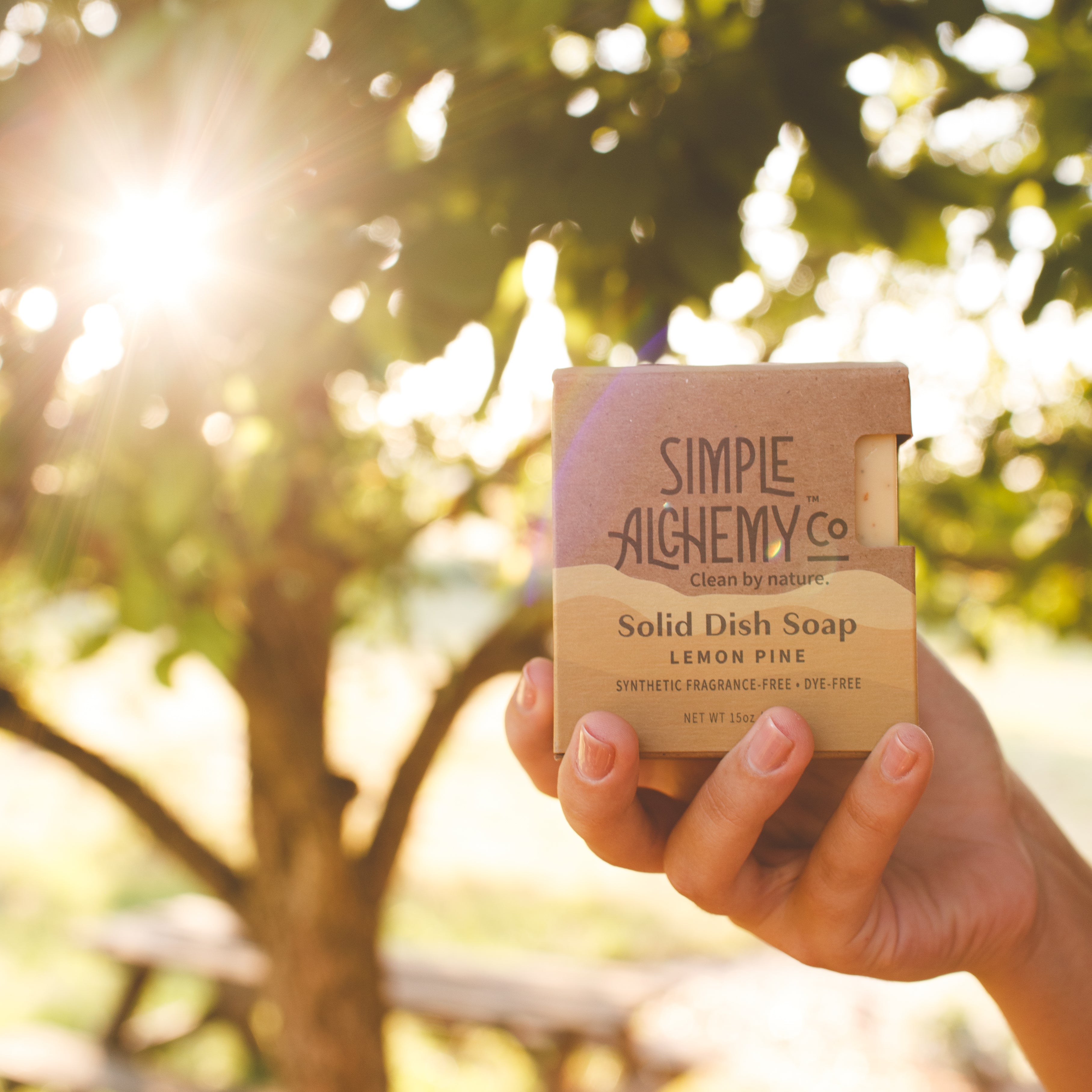 Hand holding Lemon Pine Solid Dish Soap box in front of a sunlit tree
