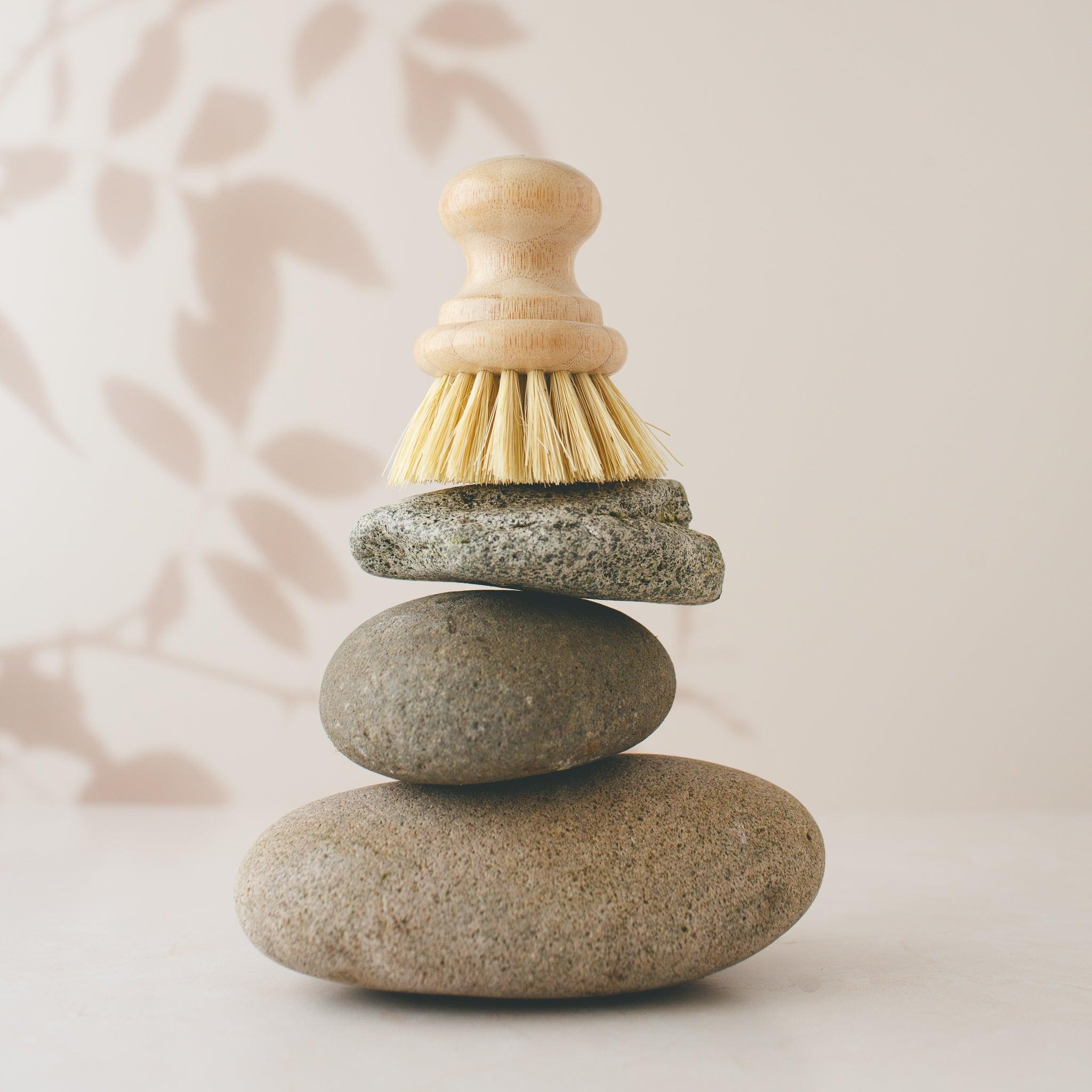 Natural bamboo dish brush with short handle for eco-friendly dishwashing.