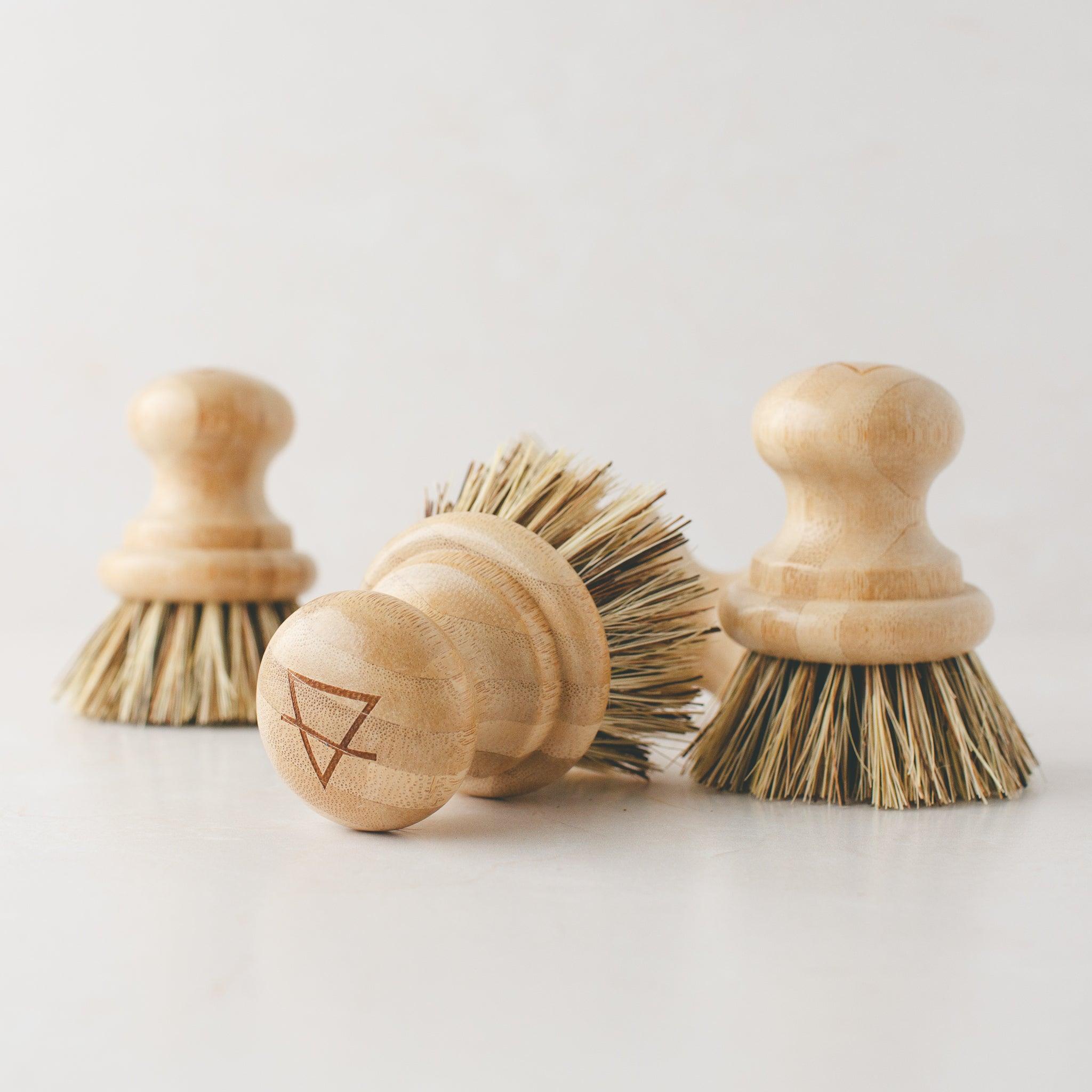 plant pot brush Compostable Pot Scrubber